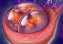 什么时候同房容易成都代怀孕